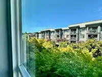 301 2343 ATKINS AVENUE - thumbnail 19