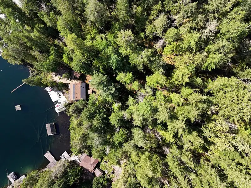 Lot 19 SAKINAW LAKE - photo 4 of 40