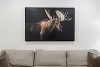 41 4000 SUNSTONE WAY - thumbnail 28