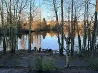 8 31501 UPPER MACLURE ROAD - thumbnail 1