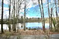8 31501 UPPER MACLURE ROAD - thumbnail 38