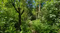 34150 GLENWILL STREET - thumbnail 12