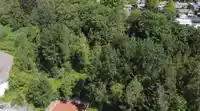 34150 GLENWILL STREET - thumbnail 30