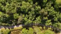 LOT 19 SMUGGLERS COVE ROAD - thumbnail 2