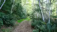 LOT 19 SMUGGLERS COVE ROAD - thumbnail 4