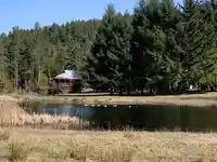 455 ANNE ROAD - thumbnail 31