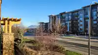 A206 8218 207A STREET - thumbnail 33