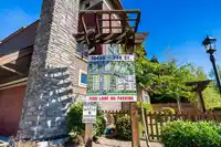 48 10480 248 STREET - thumbnail 38