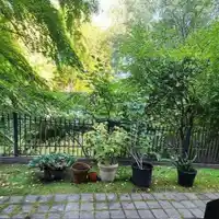 35 1561 BOOTH AVENUE - thumbnail 11