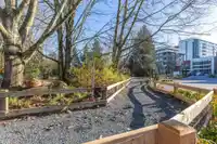 203 27218 ALDERGROVE TOWN CENTRE DRIVE - thumbnail 31