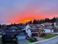 2517 PLATINUM LANE - thumbnail 40