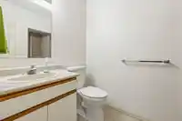 4556 CHARLIE SPRUCE PLACE - thumbnail 24