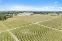 7361 240 STREET - thumbnail 18