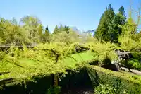 219 2280 WESBROOK MALL - thumbnail 14
