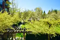 219 2280 WESBROOK MALL - thumbnail 15