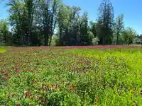 23186 8 AVENUE - thumbnail 8