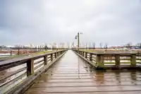 207 3162 RIVERWALK AVENUE - thumbnail 38