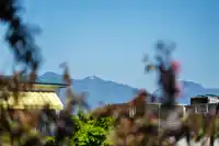 210 2450 CORNWALL AVENUE - thumbnail 27