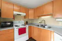 419 20259 MICHAUD CRESCENT - thumbnail 6