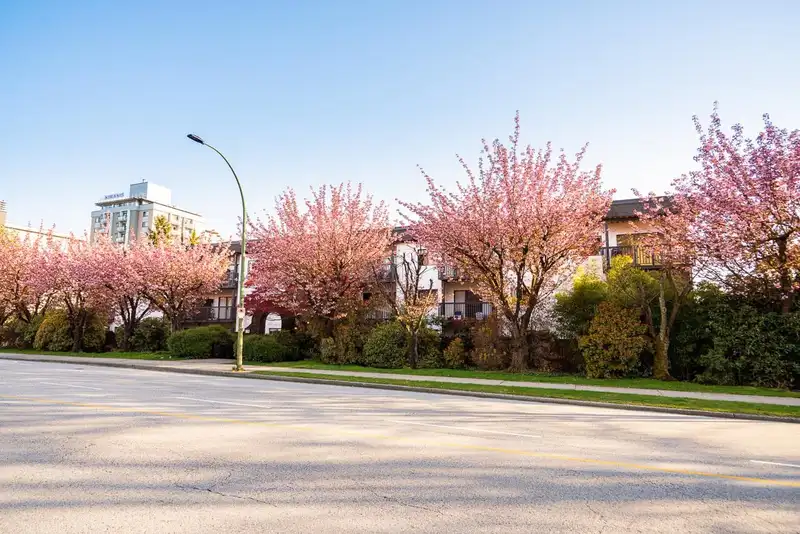 208 211 W 3RD STREET - photo 1 of 33