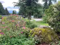 89 43201 LOUGHEED HIGHWAY - thumbnail 3