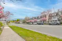 1 8890 WALNUT GROVE DRIVE - thumbnail 36