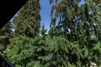 312 330 E 7TH AVENUE - thumbnail 30