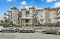 201 19940 BRYDON CRESCENT - thumbnail 17