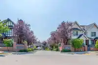50 3500 BURKE VILLAGE PRM - thumbnail 40