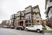 212 8538 203A ST STREET - thumbnail 3