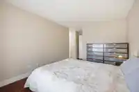 225 SALTER STREET - thumbnail 21