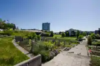 225 SALTER STREET - thumbnail 31