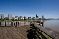 225 SALTER STREET - thumbnail 33