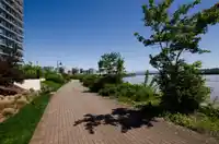 225 SALTER STREET - thumbnail 34