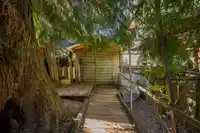 10544 SUNCREST DRIVE - thumbnail 37