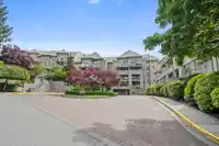 506 301 MAUDE ROAD - thumbnail 33