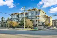 209 19936 56 AVENUE - thumbnail 1