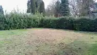21471 121 AVENUE - thumbnail 7