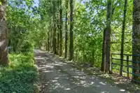 22563 2 AVENUE - thumbnail 6