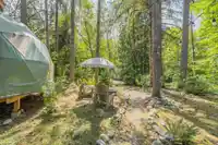 23942 FERN CRESCENT - thumbnail 30