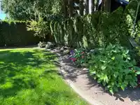 4577 217 STREET - thumbnail 6