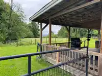 4393 TOWNLINE ROAD - thumbnail 13