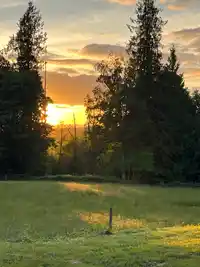4393 TOWNLINE ROAD - thumbnail 3