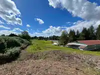 4393 TOWNLINE ROAD - thumbnail 22