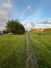 4393 TOWNLINE ROAD - thumbnail 33