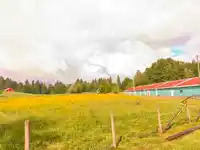 4393 TOWNLINE ROAD - thumbnail 6