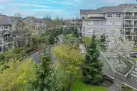 310 5020 221A STREET - thumbnail 28