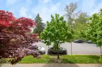202 12207 224 STREET - thumbnail 18
