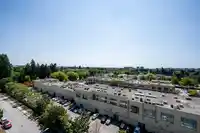 1015 3333 BROWN ROAD - thumbnail 21