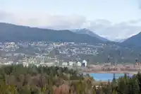 PH 1 1500 ALBERNI STREET - thumbnail 34